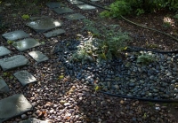 New Haven Urban Garden, Riverstones